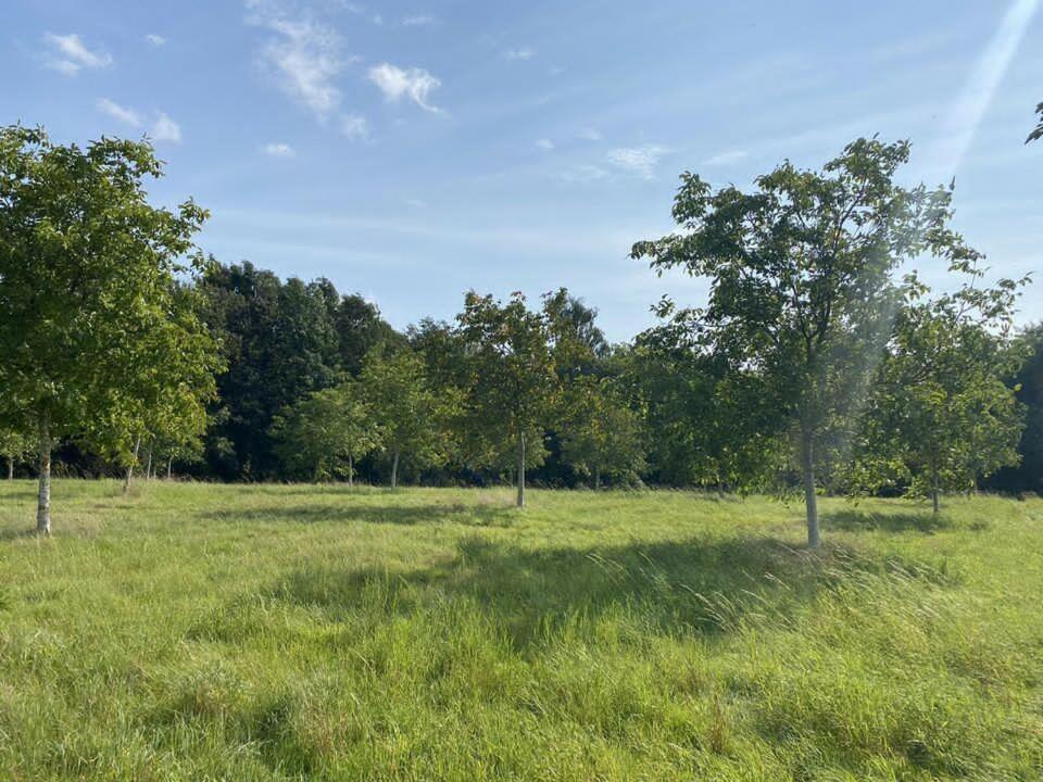 Kleines Ferienhäuschen im Grünen am Wasser Gronwohld Exterior foto